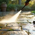 prevent moss and algae buildup
